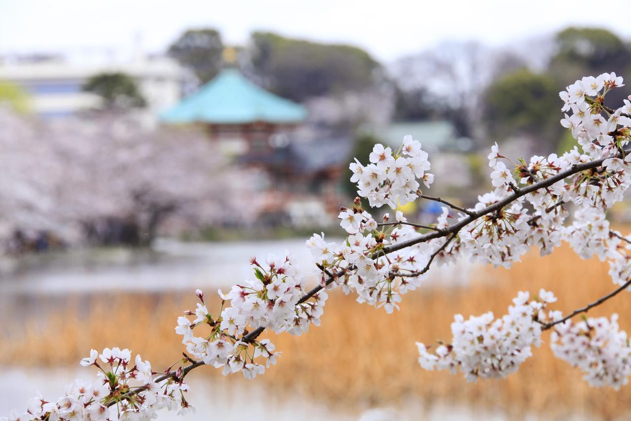 Centurion Hotel&spa Ueno Station 3* Tokio
